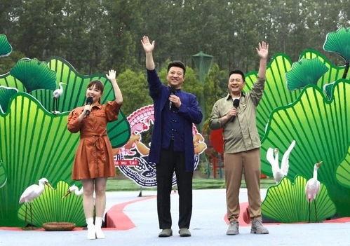 哈利最新爆料牛仔裤视频,牛仔裤背后的时尚秘密与潮流趋势