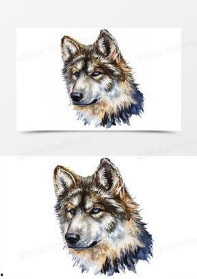 狼狗最新爆料图片大全,萌态可掬，瞬间吸粉无数