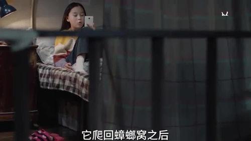 蛇姐最新爆料视频网,娱乐圈惊人内幕大曝光！