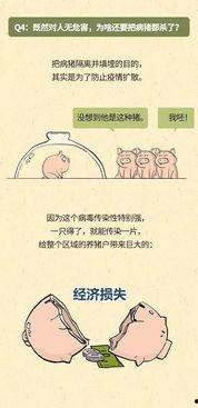 猪瘟最新爆料,揭秘病毒传播途径与防控措施